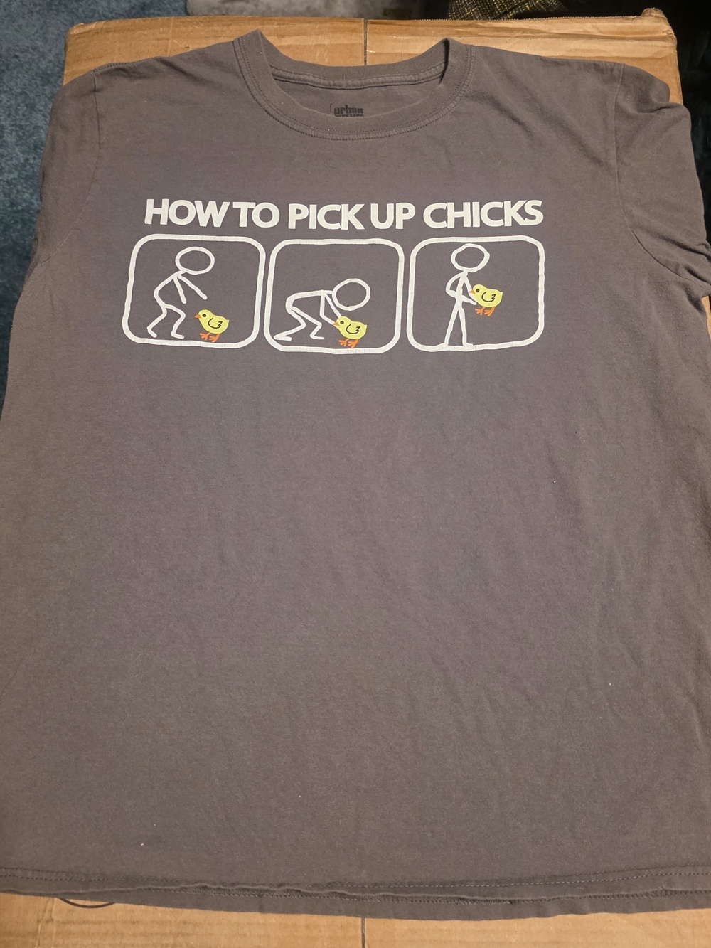 urban pipeline L Gray Graphic Tee "How to Pick Up Chicks"